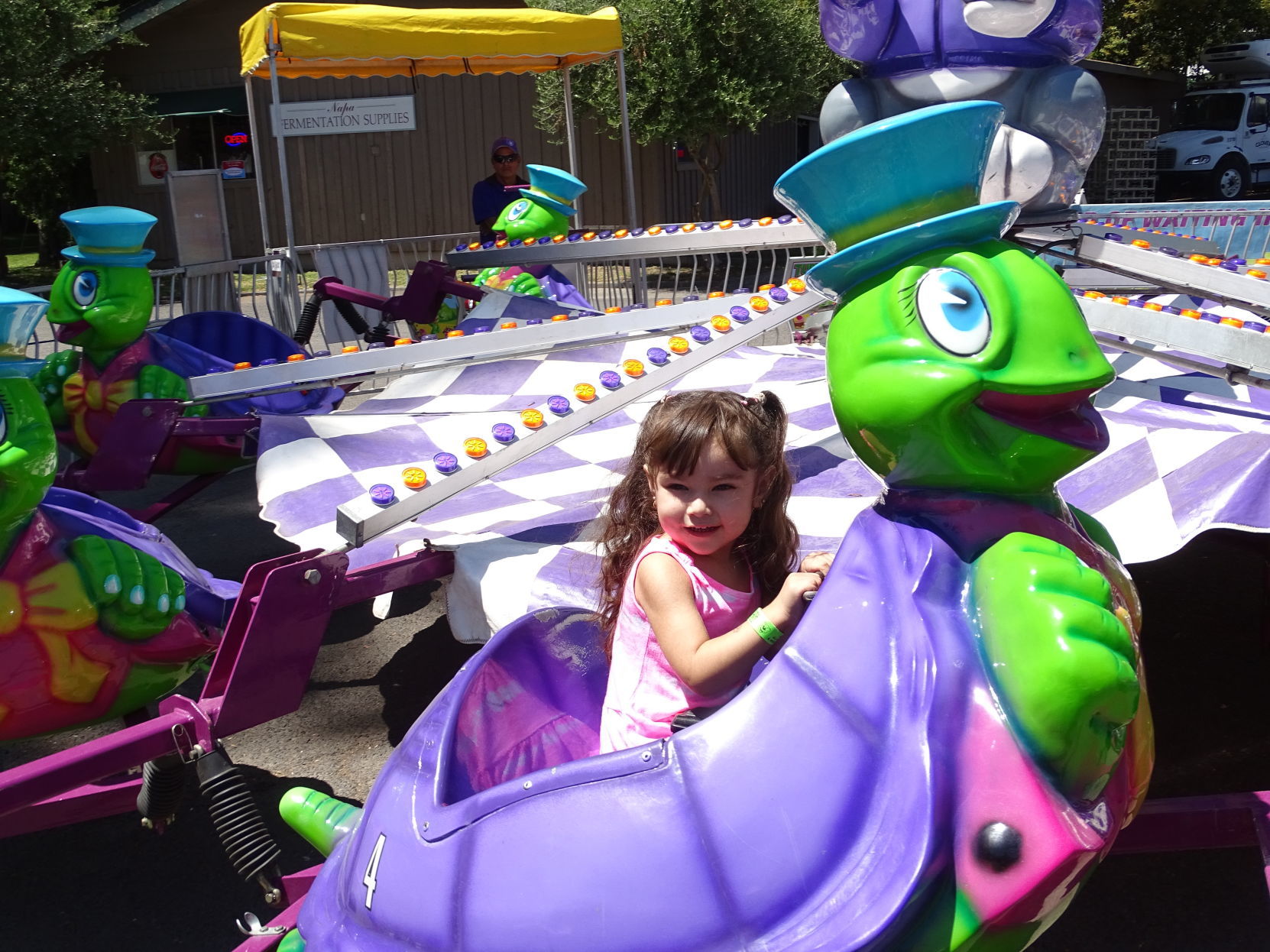 Napa Town & Country Fair 2019